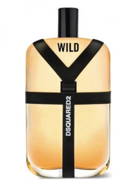 Dsquared2 Wild EDT 50 ml Erkek Parfümü kullananlar yorumlar